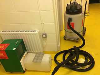 renting dehumidifiers