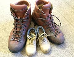 rug/carpet stain cleanup