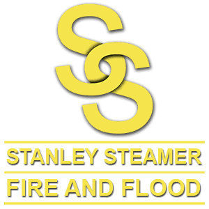 fire,flood,carpet cleaner